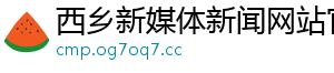 西乡新媒体新闻网站官网